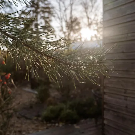 펜션 Tiny House Mayu - Veluwe Airco 4 Persons 아른헴