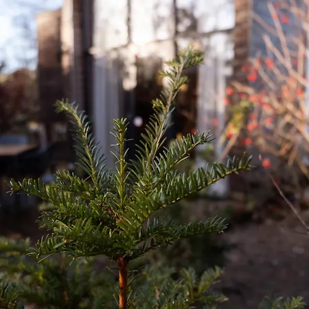 Tiny House Mayu - Veluwe Airco 4 Persons *