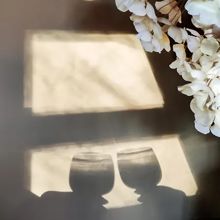 Tiny House Mayu - Veluwe Airco 4 Persons