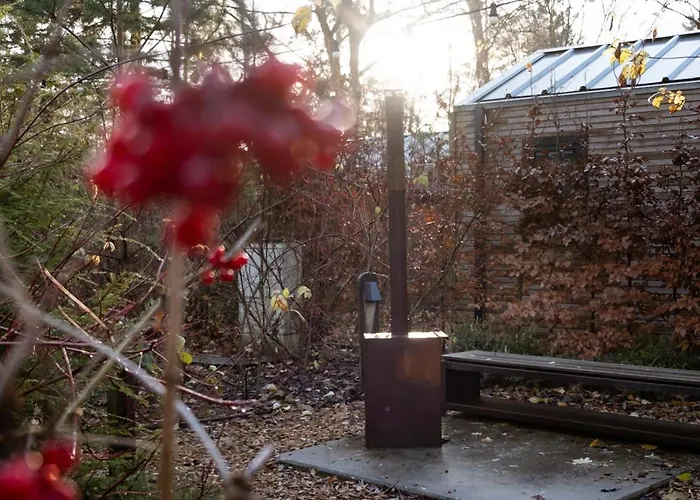 Tiny House Mayu - Veluwe Airco 4 Persons * Arnhem