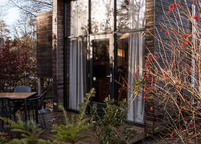 Tatil Evi Tiny House Mayu - Veluwe Airco 4 Persons Arnhem